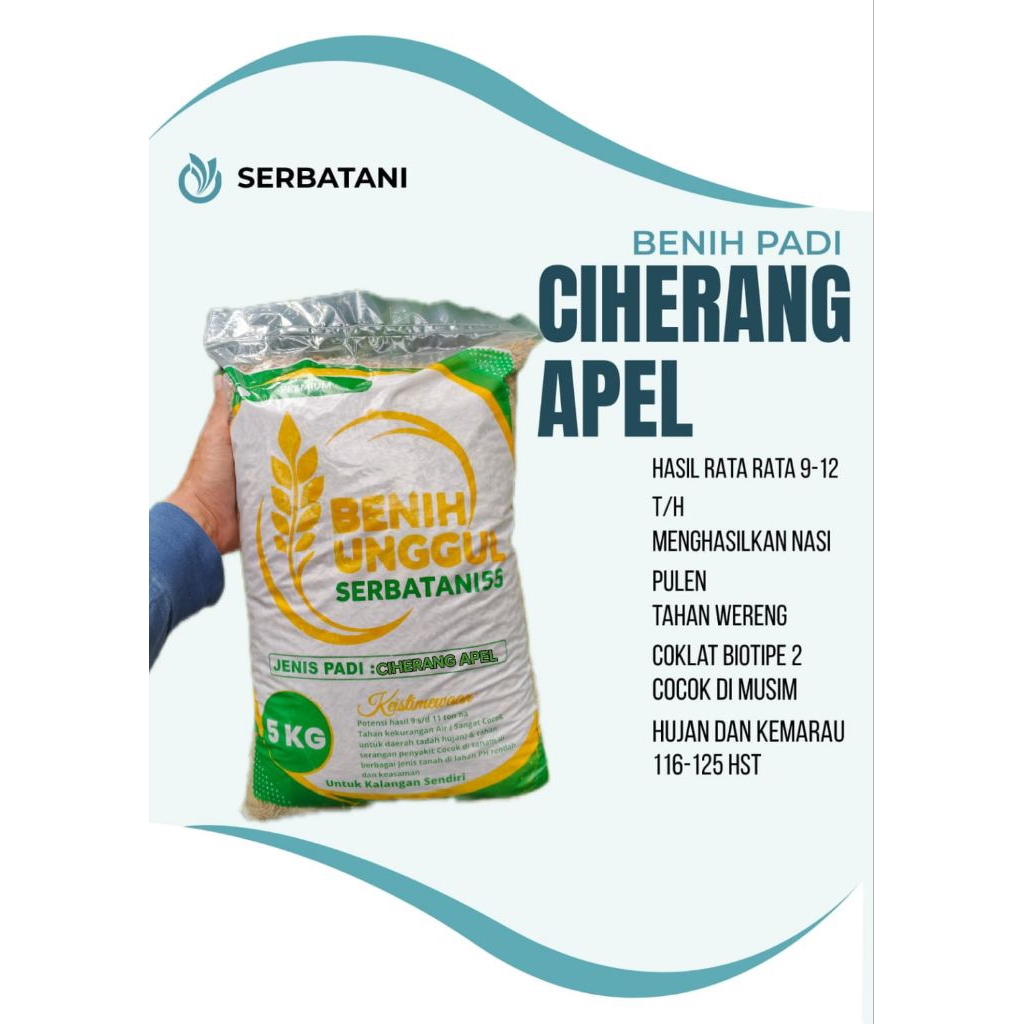 Benih padi bibit padi CIHERANG APEL 5kg