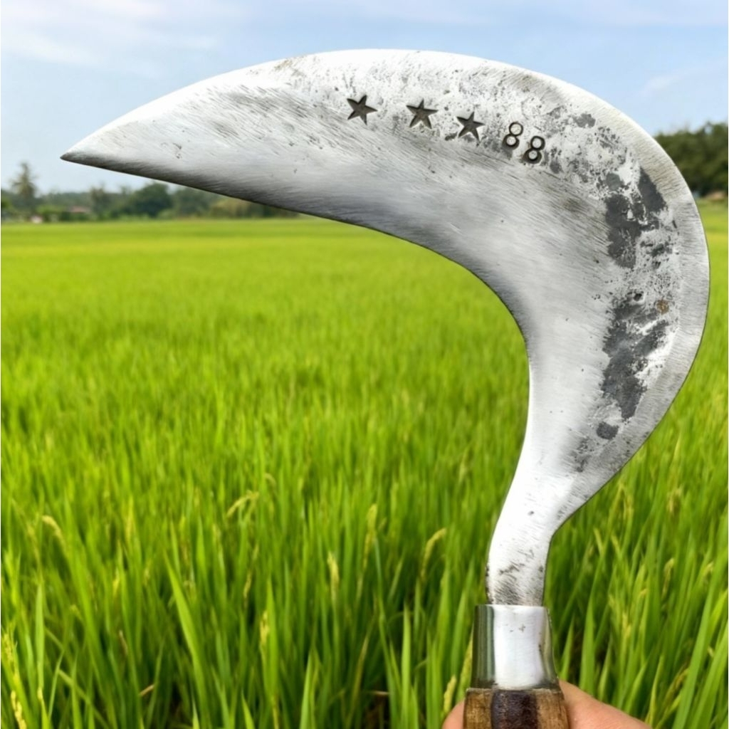 ARIT Model Cikajangan Cap 88 ORIGINAL Cikajang GARUT | Sabit Pemangkas Rumput | Aret Buat Ngarit Sup