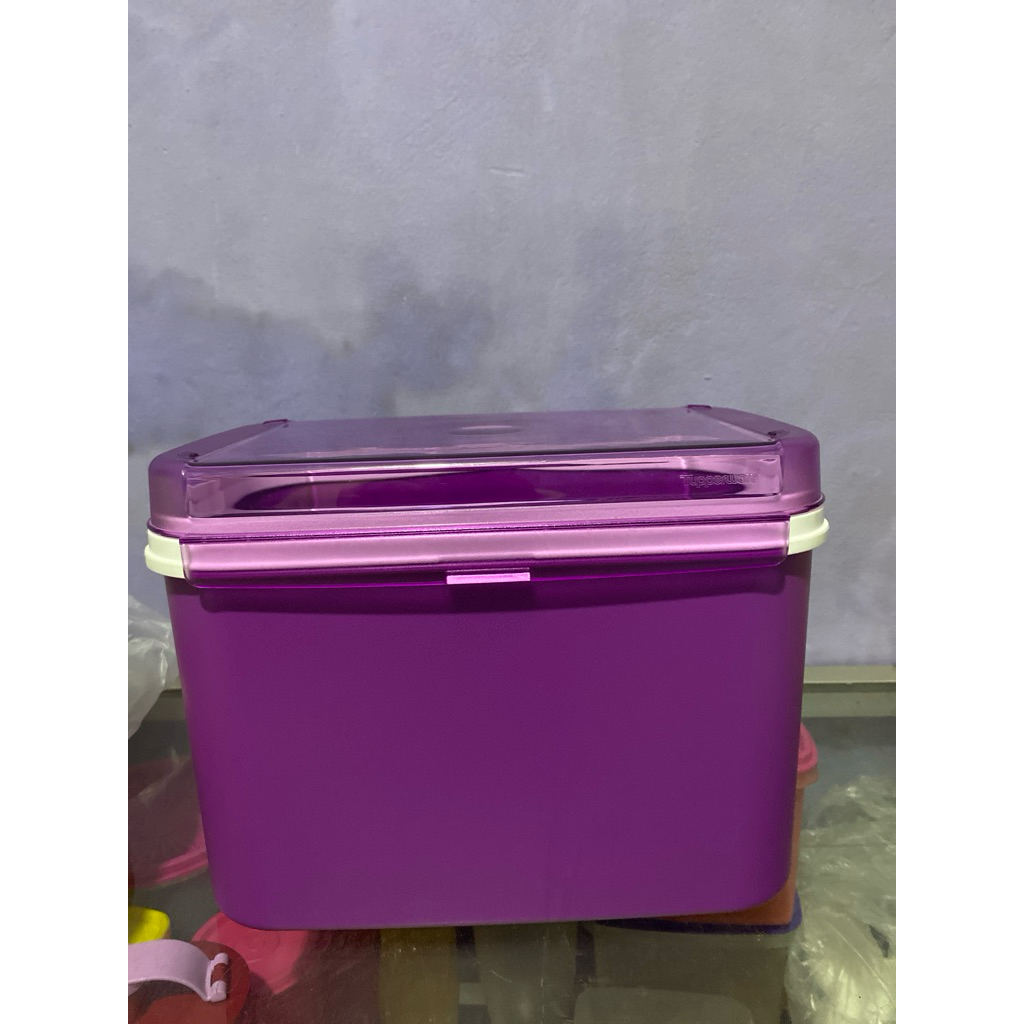 signature new Tupperware