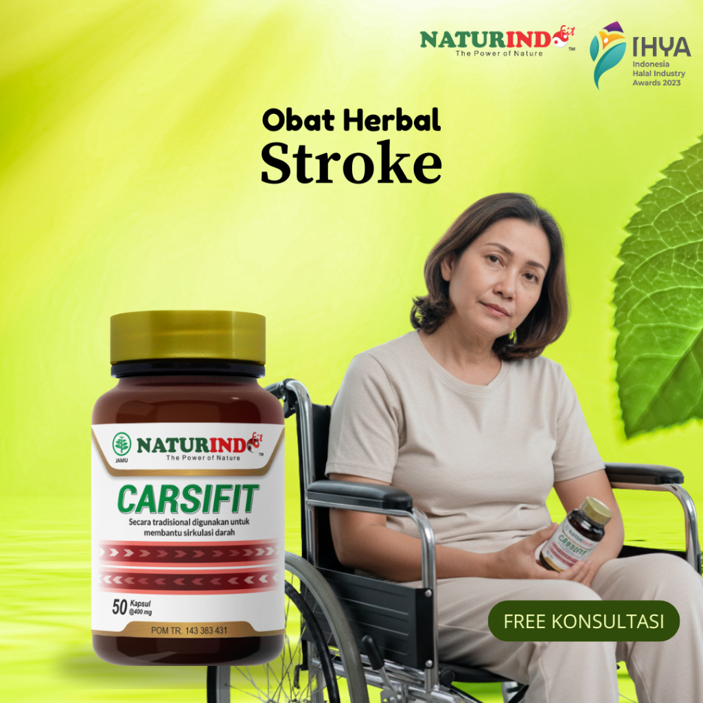 Obat Stroke Gejala Stroke Ringan Berat Menahun Carsifit Naturindo