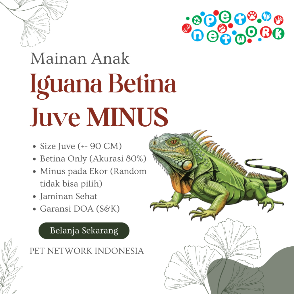 Mainan Anak Iguana Betina Size Juve MINUS Premium Quality