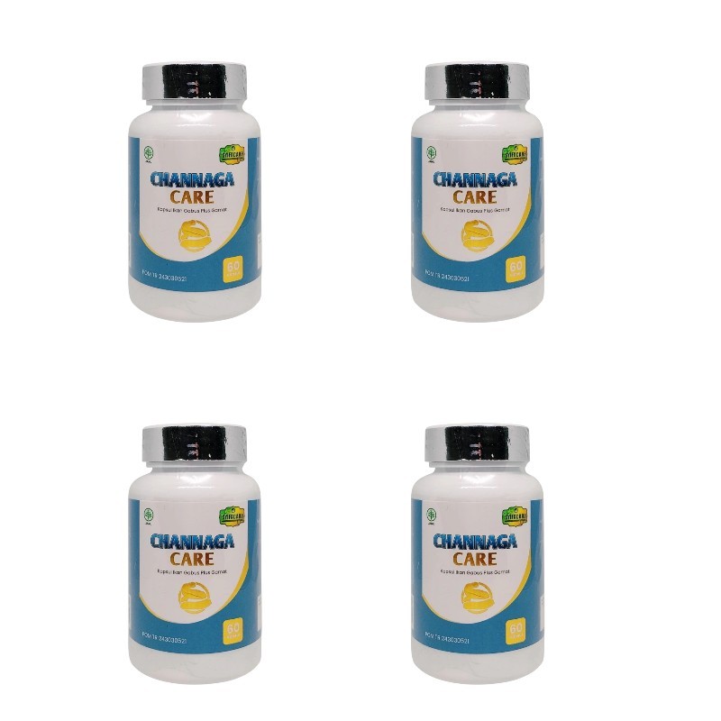4 BTL Channaga Care Syifacare Ekstrak Ikan Gabus dan Gamat 60 Kapsul Original BPOM