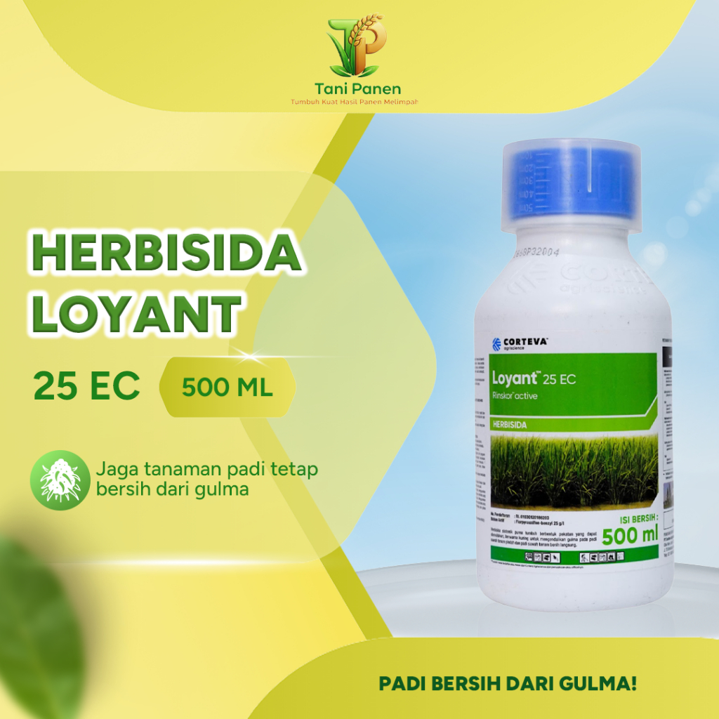 Herbisida LOYANT 25EC 500ml Ampuh Basmi Gulma Daun Lebar & Daun Sempit Tanaman Padi