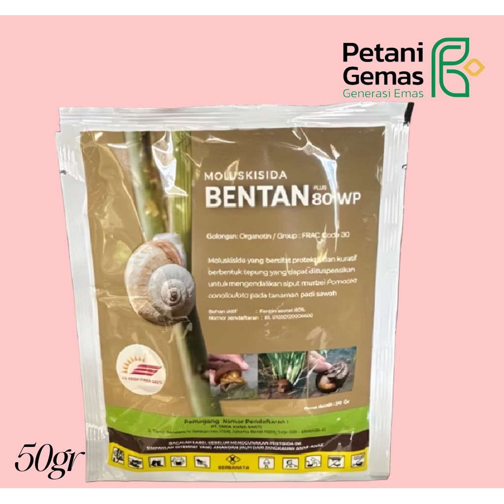 BENTAN plus 80wp moluksida efektif mengendalikan siput trisipan/keong sawah