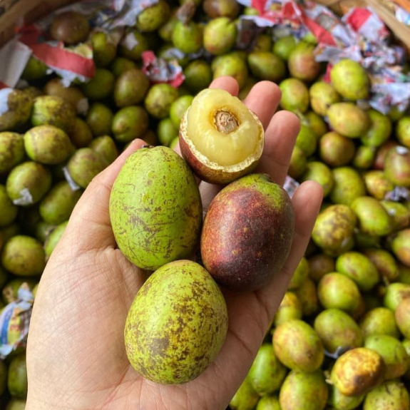 Buah Matoa Segar 1 Kg - Ketersediaan Terbatas