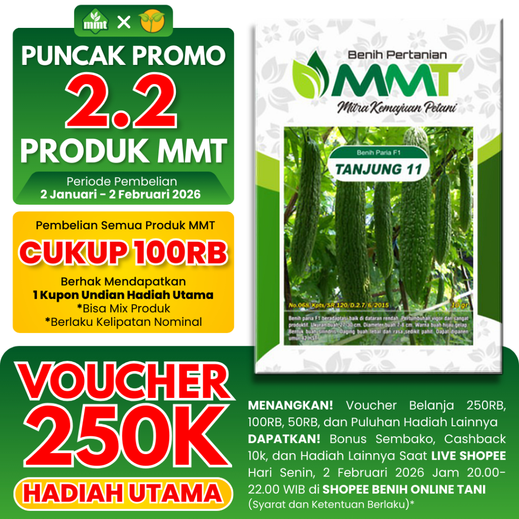 BENIH PARE TANJUNG 11 10 GRAM MMT