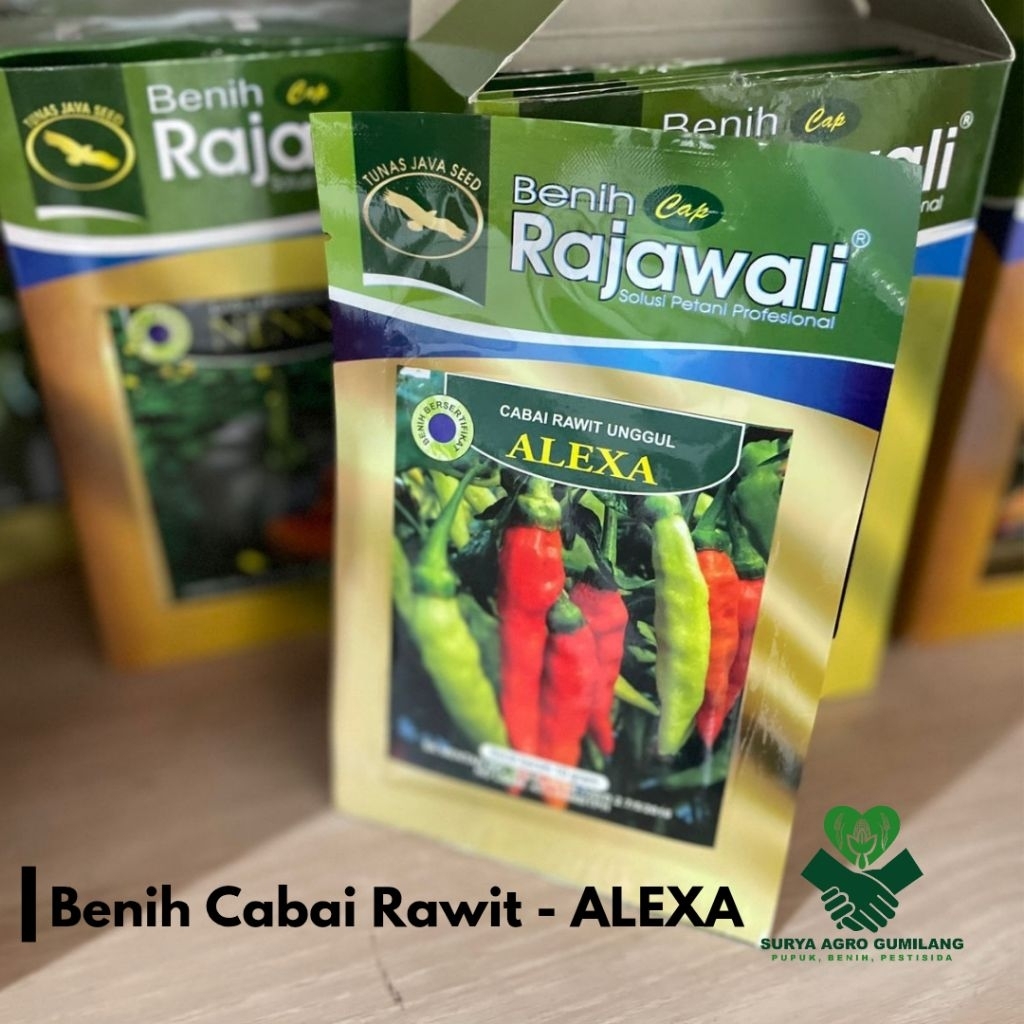 Benih Cabai Rawit ALEXA | Benih cabai Rawit | Cabai Rawit cap Rajawali