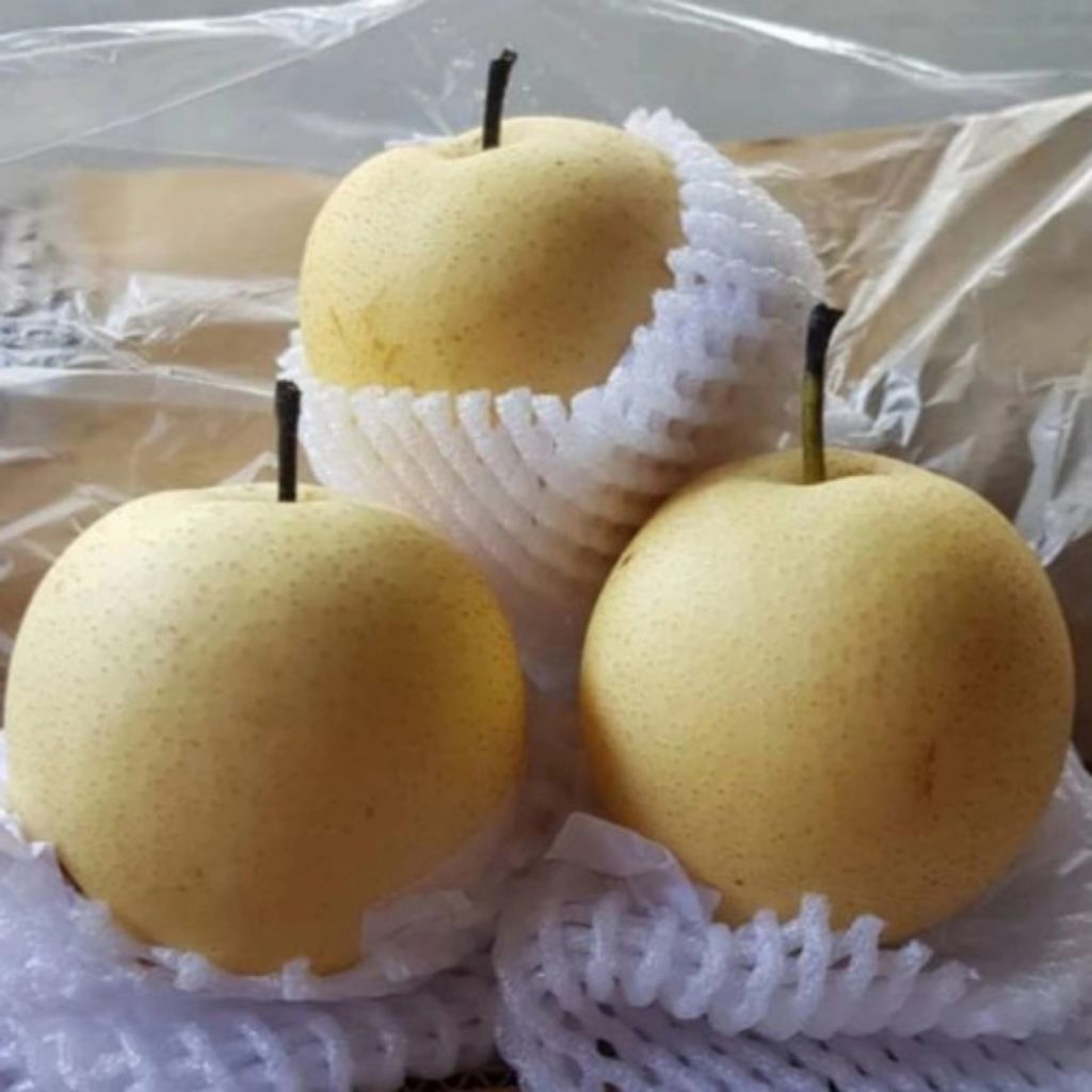 Buah Pir Segar/Pasar Sayur Makassar