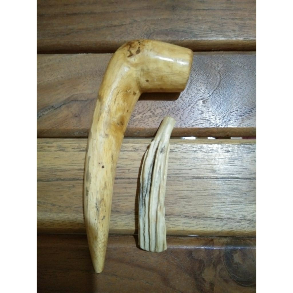 pipa Tanduk rusa /menjangan