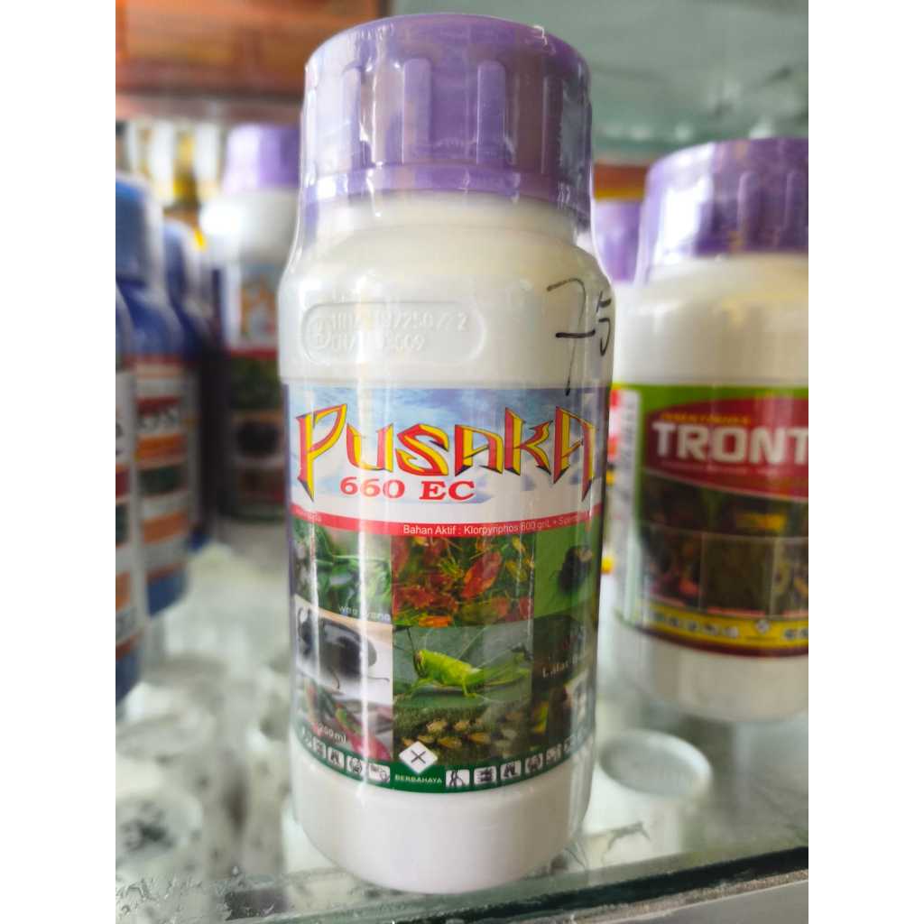PUSAKA 660 EC Insektisida Basmi Lalat Buah Wereng Ulat 200ML Klorpirifos Sipermetrin