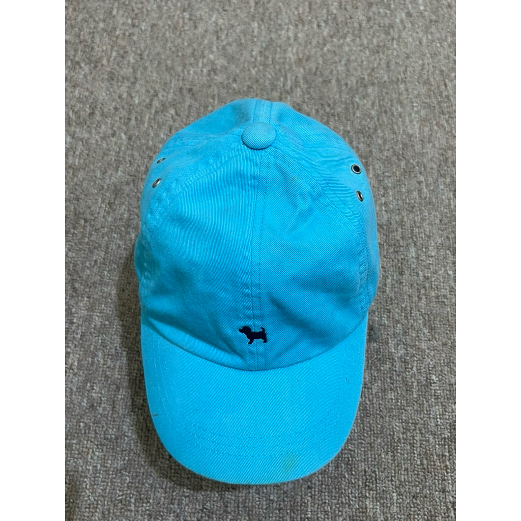 Topi anak/remaja bluedog