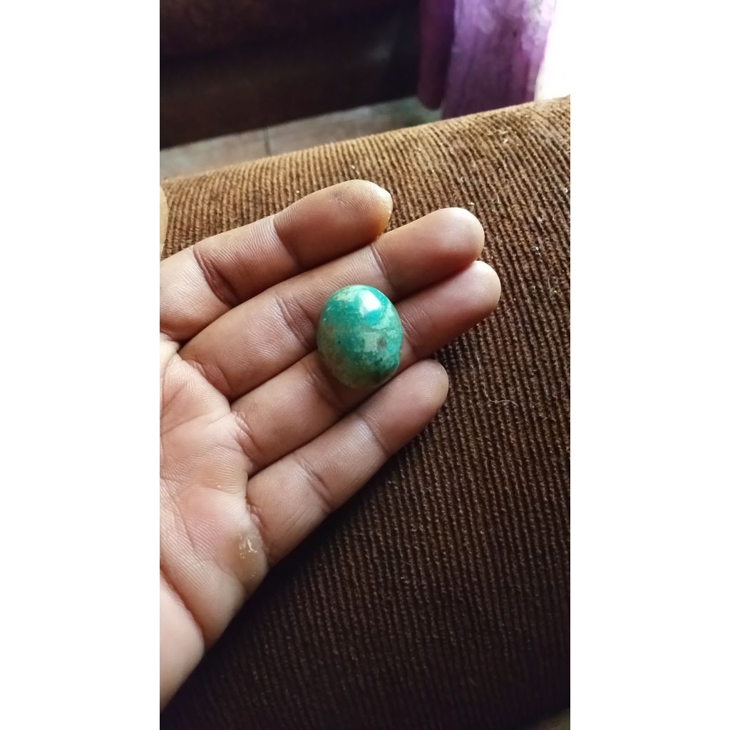 Pirus Persia Original