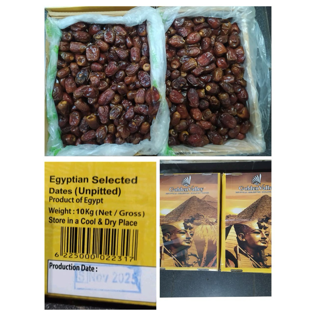 Kurma 10 kg/Golden Mesir/original/kurma murah