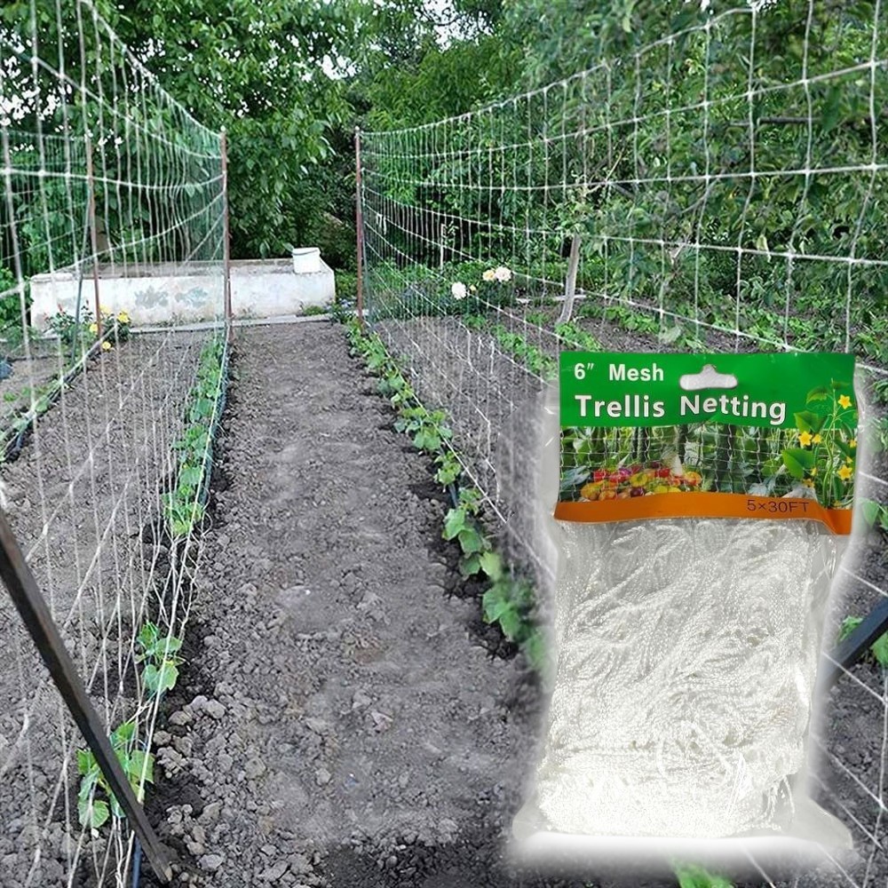 Jaring Tanaman Rambat Polyester 1.67x10M Kuat