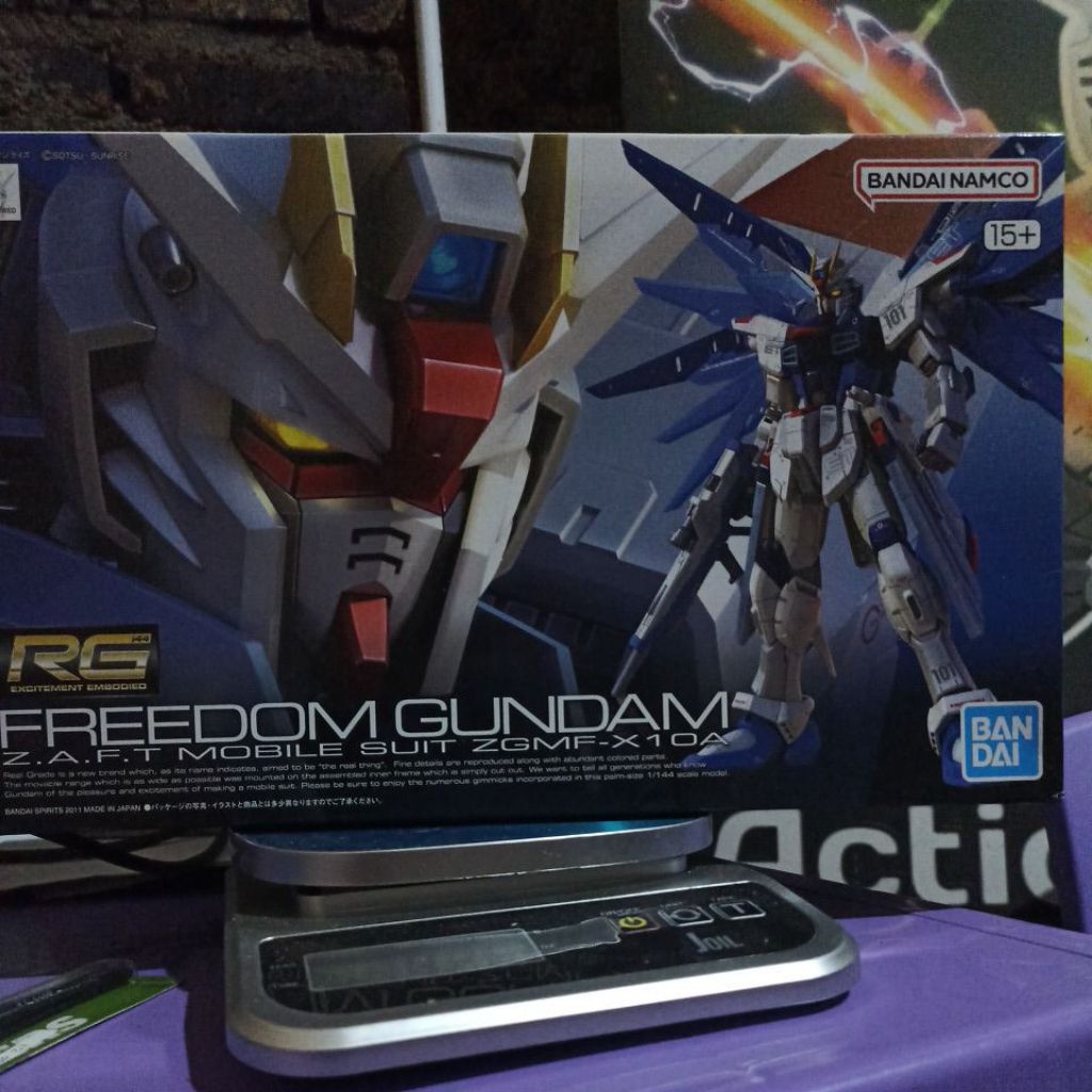 RG FREEDOM GUNDAM BANDAI