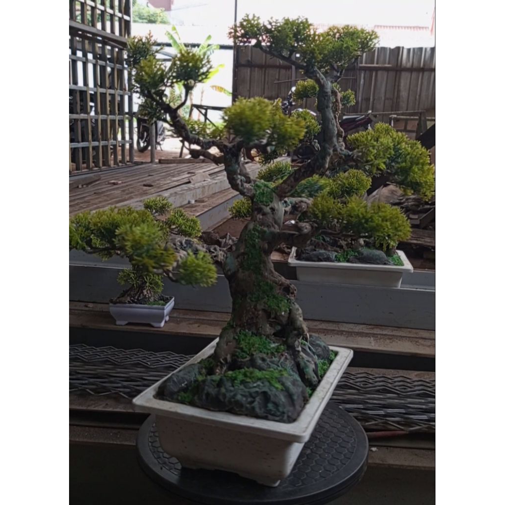 replika bonsai/bonsai sintetis
