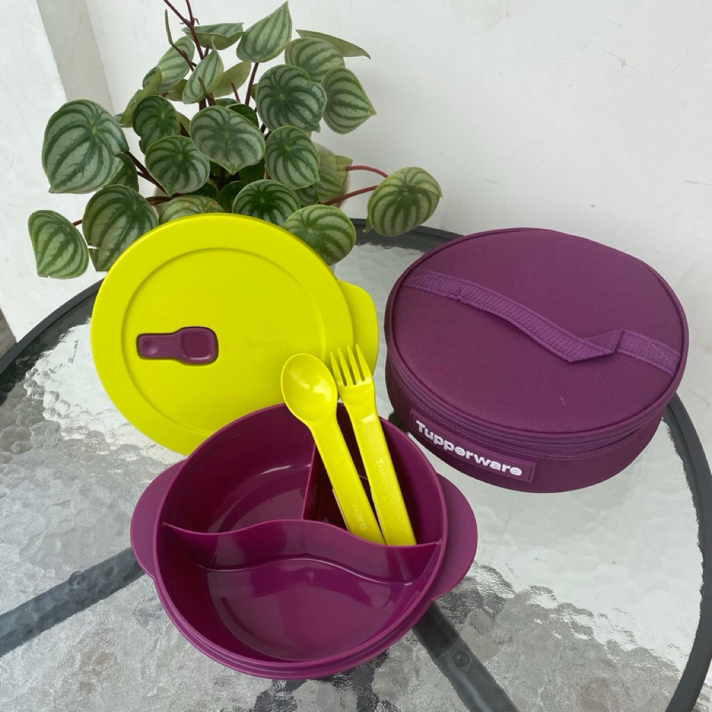 fancy crystalwave lunch set cwl Tupperware