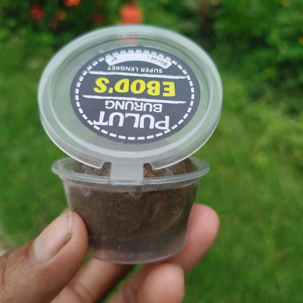 pulut burung super lengket berat 1'ons warna ranting