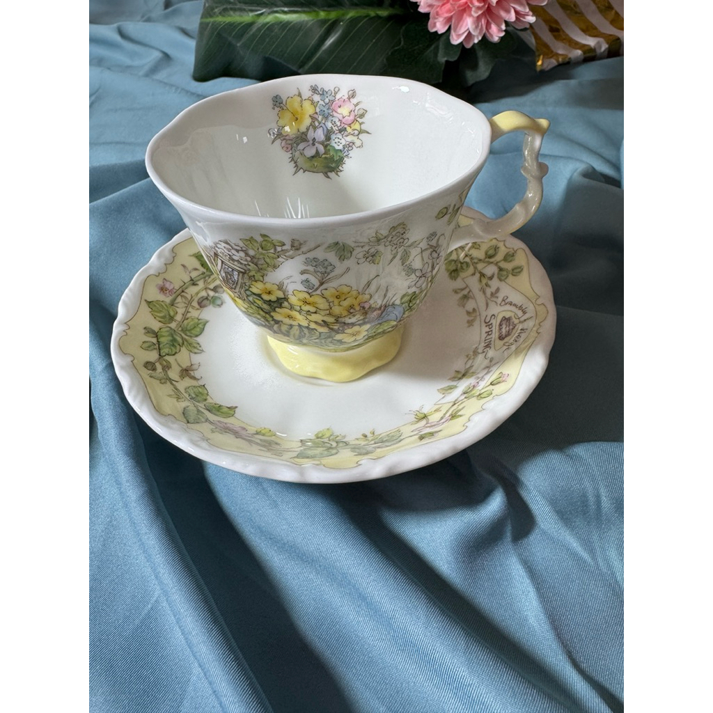 Royal Albert Royal Doulton Brambly Hedge Teacup Saucer Spring