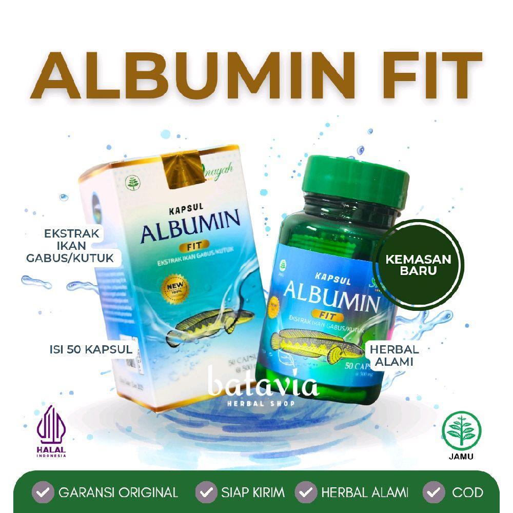 Albumin Fit Kapsul Ikan Gabus Kutuk Kapsul Albumin Ikan Gabus Original