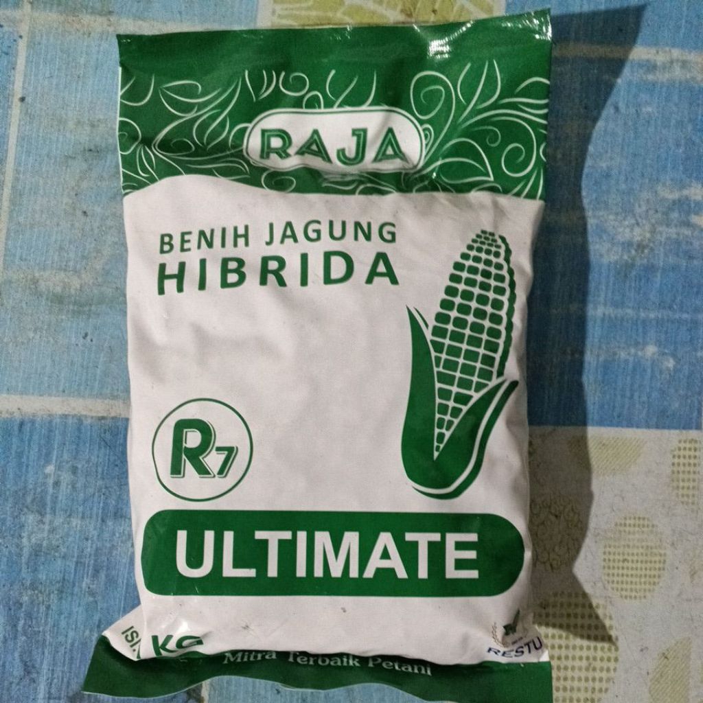 Benih Jagung R7 Raja Ultimate