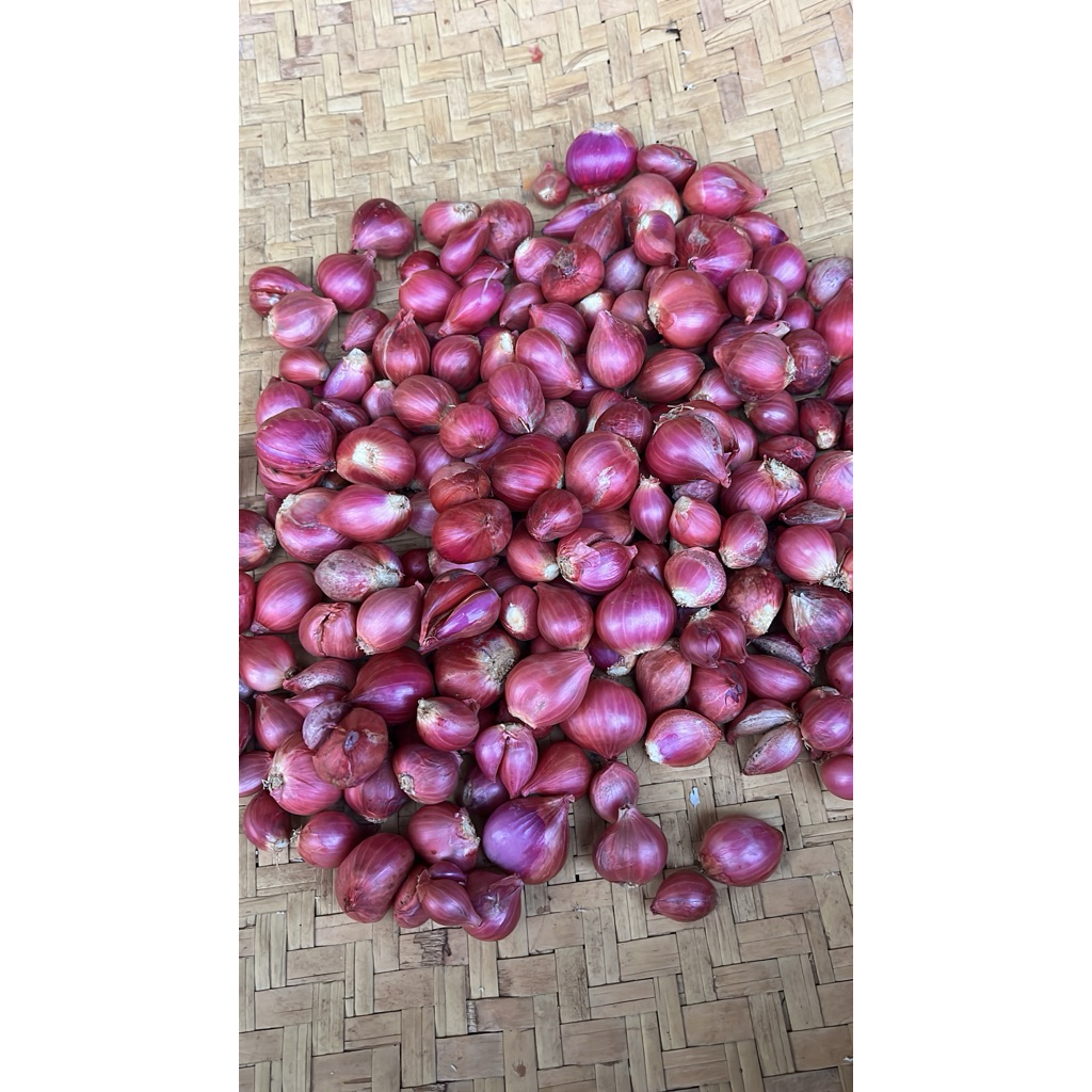 Bawang merah besar 1kg