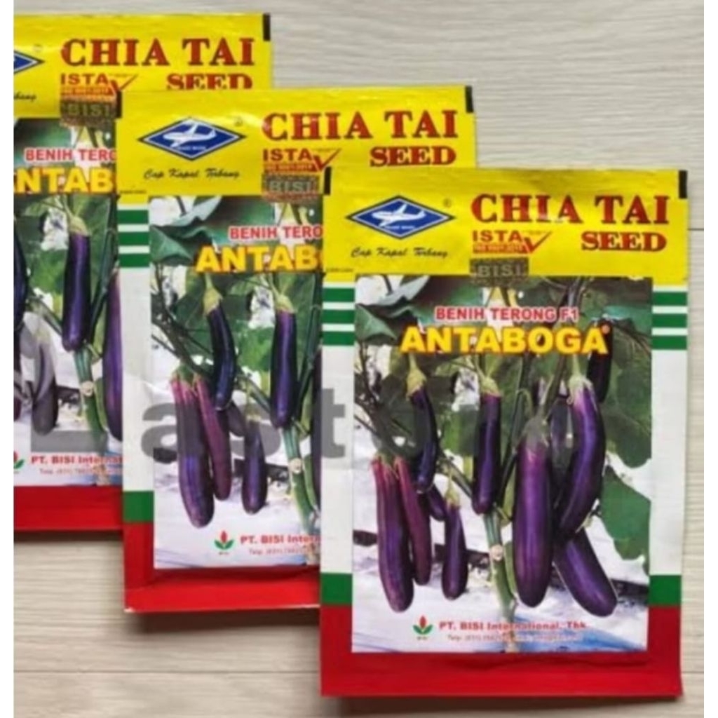 BENIH Premium Terong Ungu Antaboga