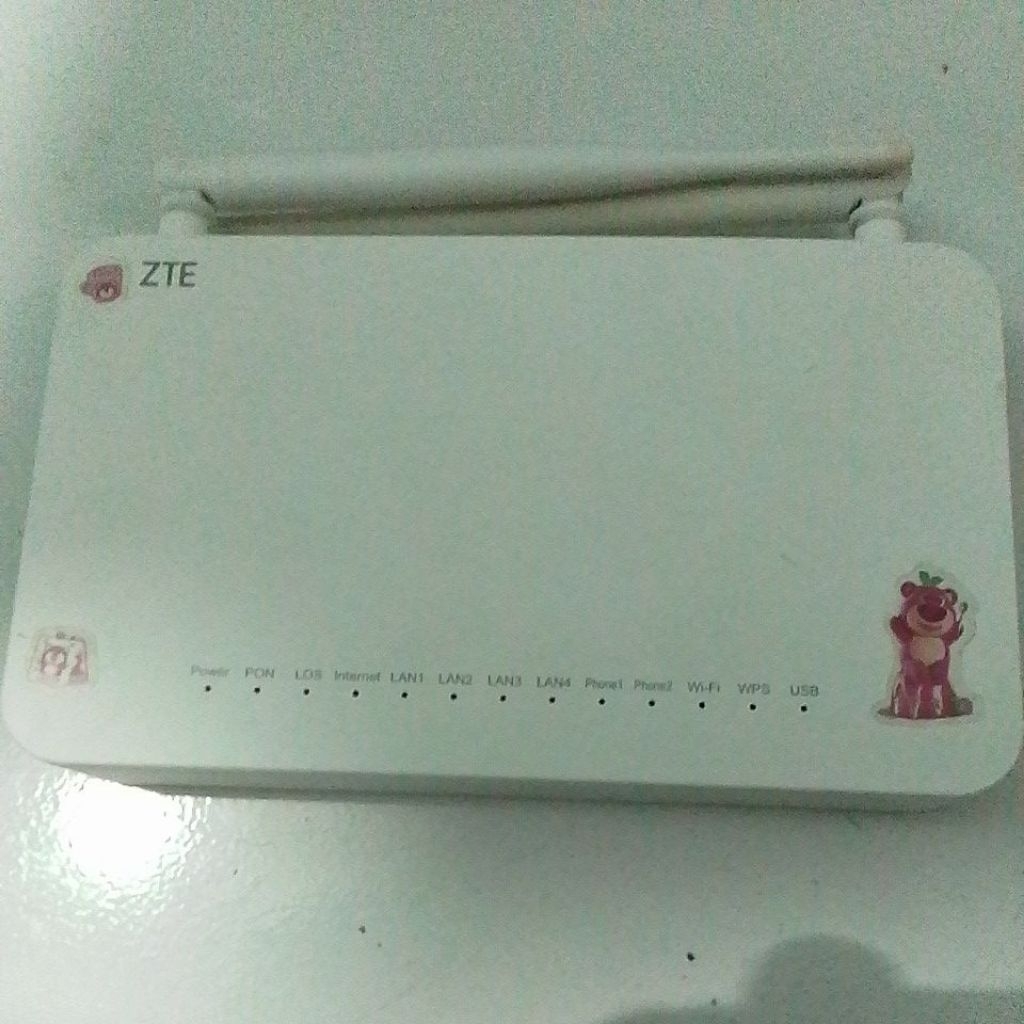 GPON ZTE F609 V3 PORT BIRU & HIJAU