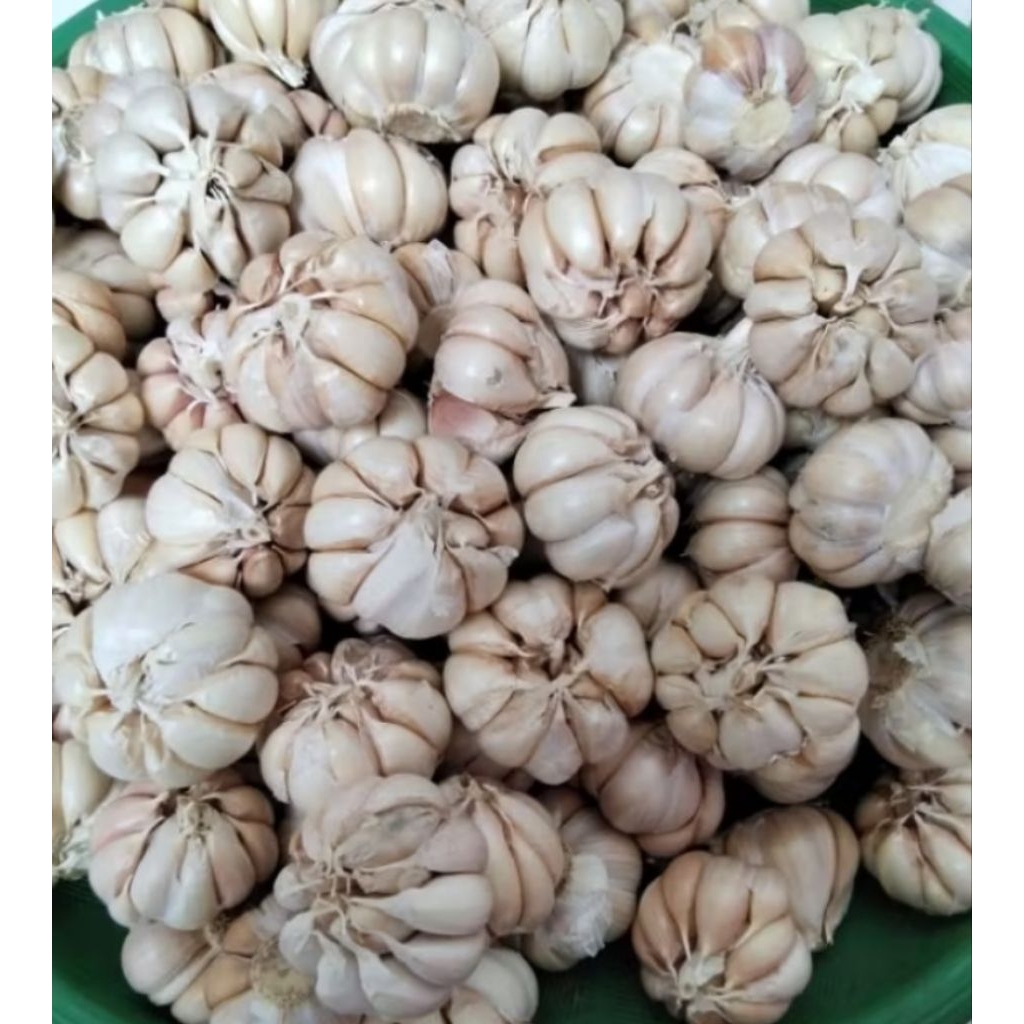 Bawang putih 1Kg