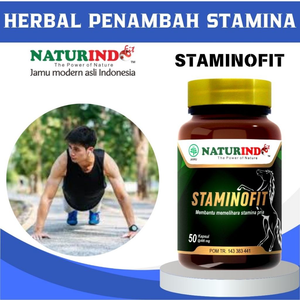 Obat Herbal Stamina Pria Staminofit Naturindo