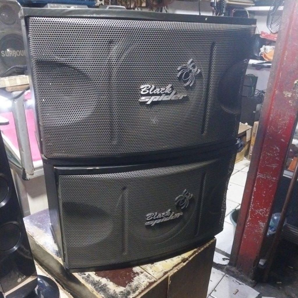 Sepasang Speaker pasif Black Spider 10 inchi
