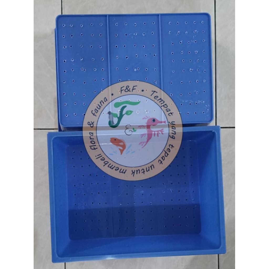 Pot Tanam Persegi / Persegi Panjang Plastik - Kotak Semai - Planting Box - Planter Box