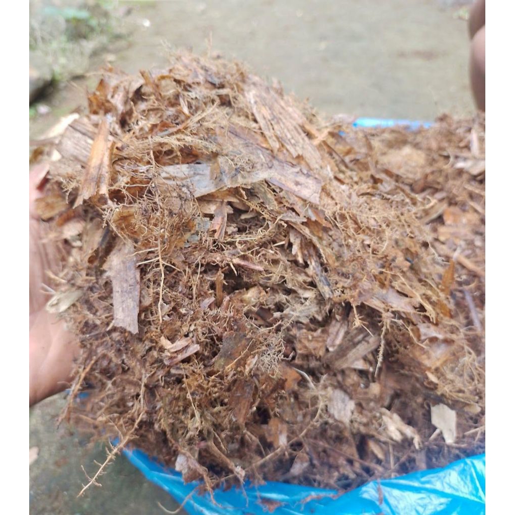 media tanam pupuk daun bambu. kompos daun bambu murni