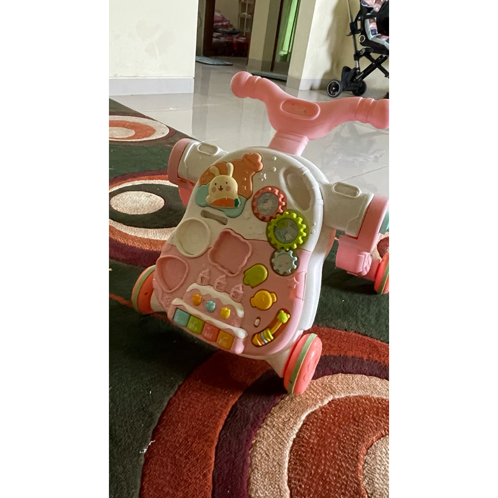 PUSH WALKER PRELOVED