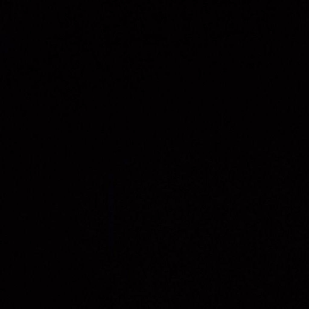 preloved kaos justin bieber purpose tour