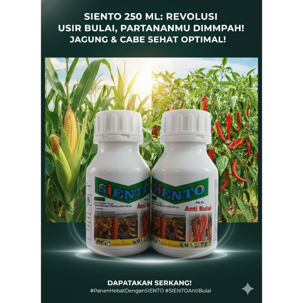SIENTO 250 ML | FUNGISIDA ANTI BULAI TANAMAN JAGUNG DAN CABE | DOSIS TINGGI 3 BAHAN AKTIF FUNGISIDA 
