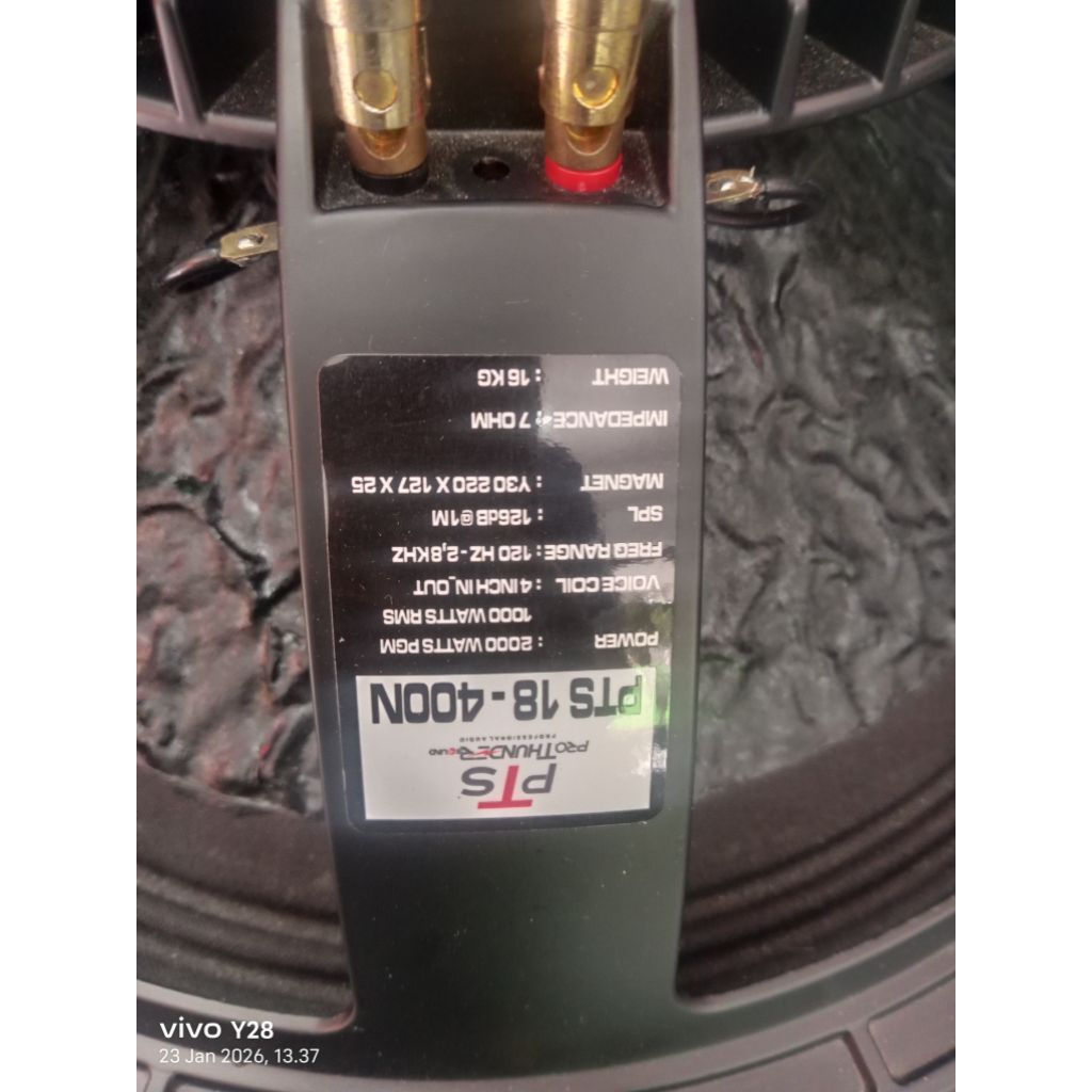 speaker THUNDER PTS18- 400N