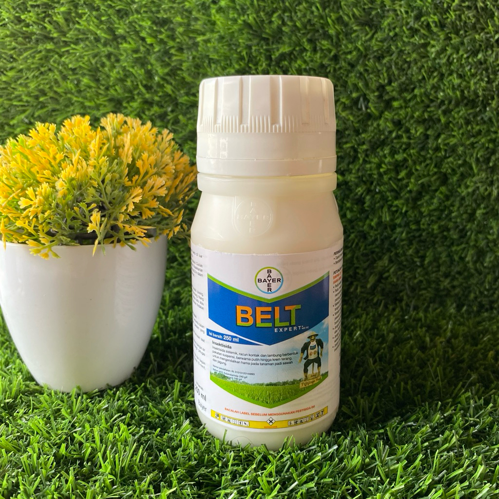 BELT EXPERT 480 SC 250ml - Insektisida