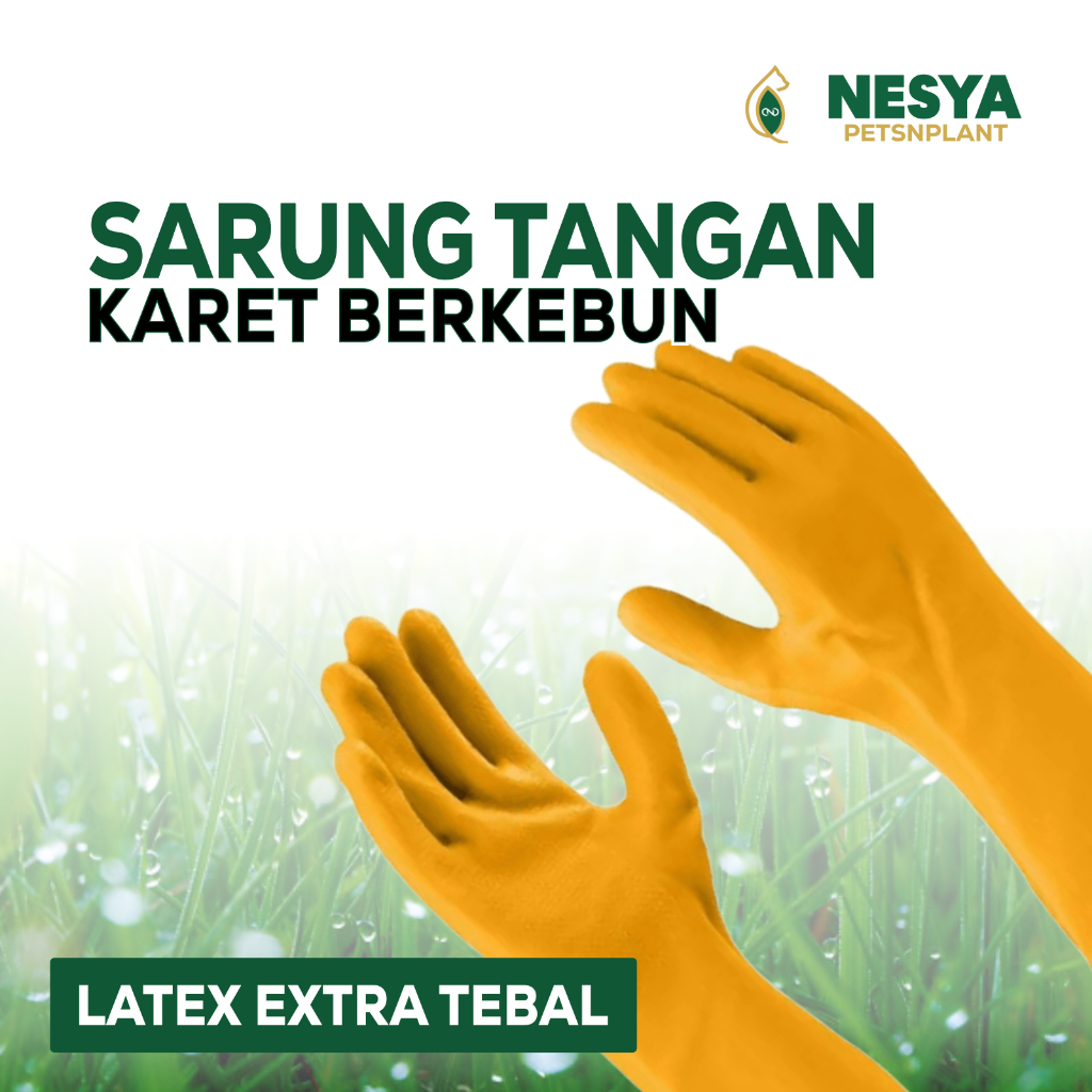 Sarung Tangan Latex Untuk Berkebun Bahan Tebal Sarung Tangan Karet