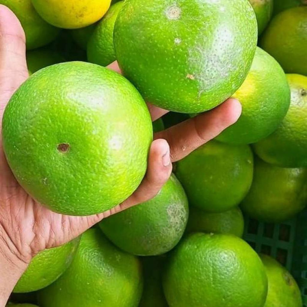 Jeruk Manis Baby Java 1kg Rasa Segar Manis