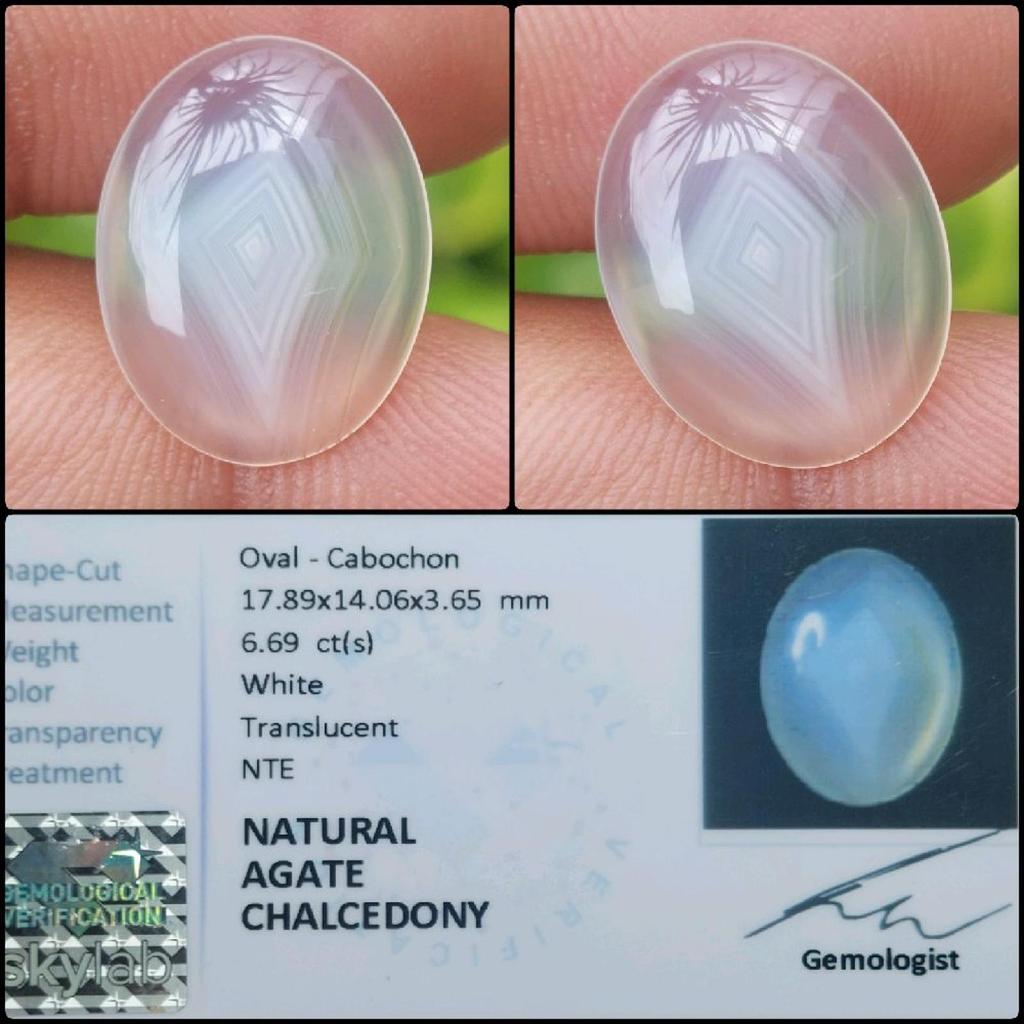 Natural Agate Chalcedony Crystal Irish Fenomena Batu Akik Asli Antik Memo Lab