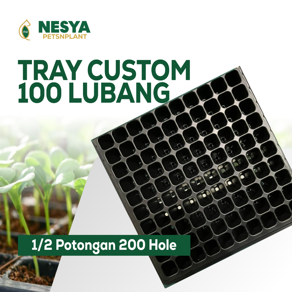 Tray Semai Potray 100 Lubang Custom - Tray Semai 10x10