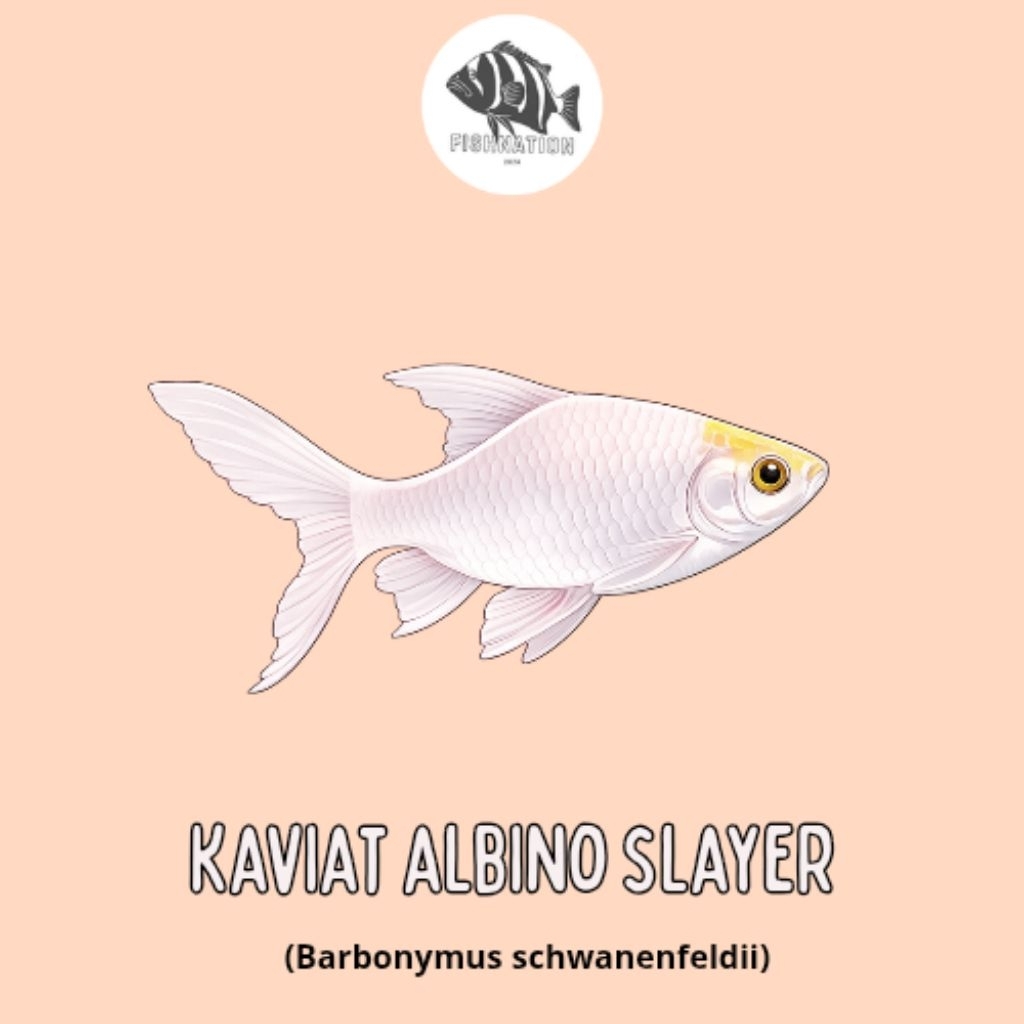 Kaviat Albino Slayer