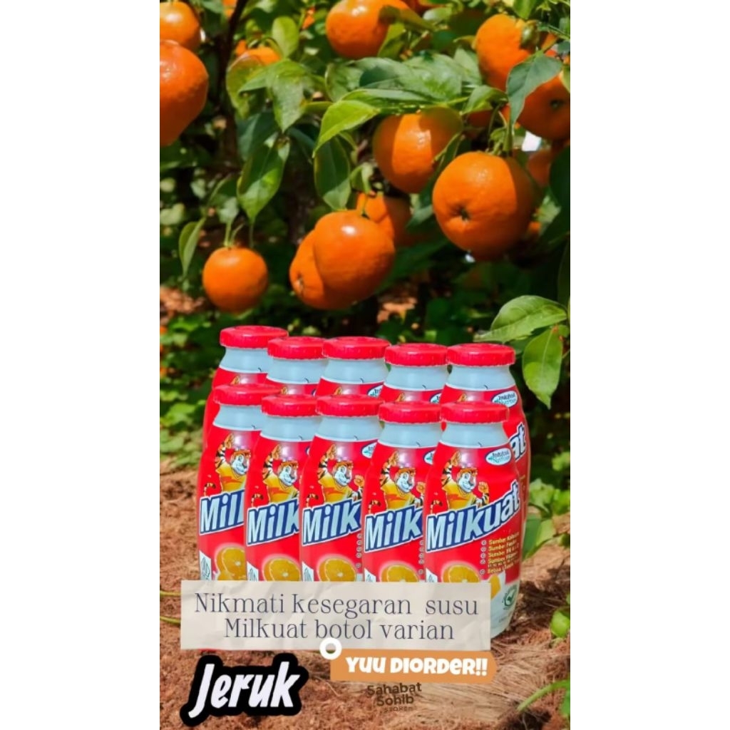 paket 15 pcs susu botol Milkuat 65ml