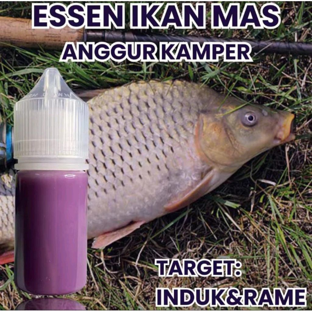 Essen Ikan Mas Paling Gacor, Essen Ikan Mas Paling Ampuh, Essen Ikan Mas Indukan, Essen Ikan Mas Har
