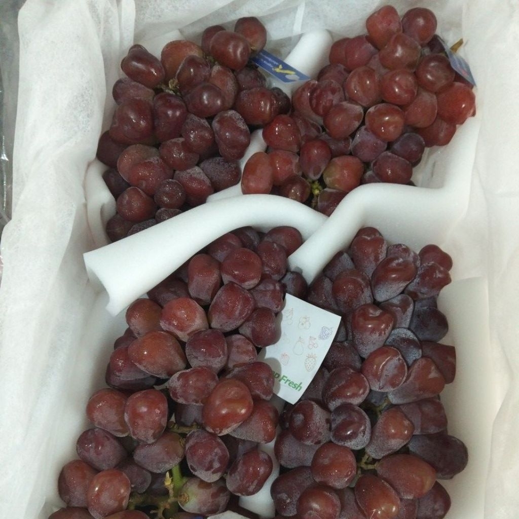 buah anggur merah shine muscat non biji manis dan fresh 1kg
