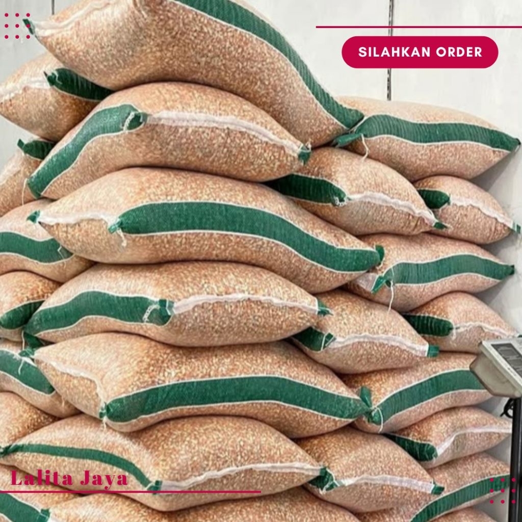 JAGUNG KRISTAL PAKAN MERPATI JAGUNG KECIL  PAKAN AYAM JAGUNG UNGU PAKAN BURUNG DARA 10000 GRM