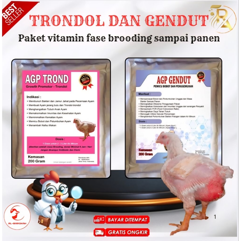 Agp Trond Agp gendut viitamin fase brooding sampai panen