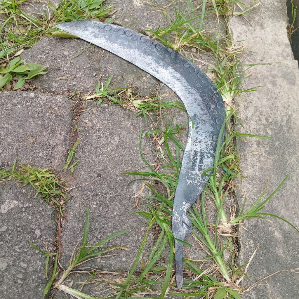 aret rumput dalangan wonosobo