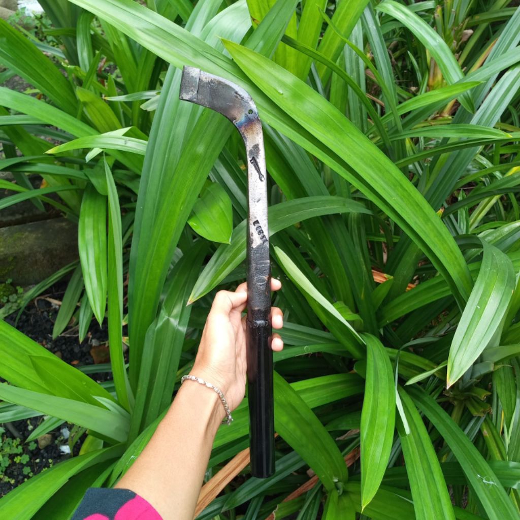 Pisau sadap paku rel original